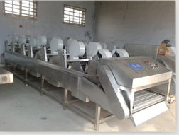 ,風干機批發,諸城市通達機械廠