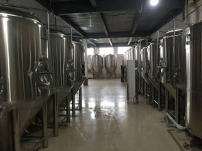 精釀啤酒設(shè)備全解析 從酒廠到酒吧，打造完美啤酒體驗(yàn)