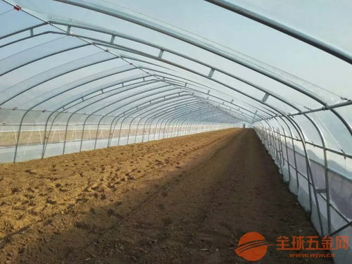 賀州大棚鋼管廠 助力現代農業的鋼結構基石